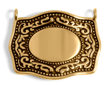 Buckle Charm