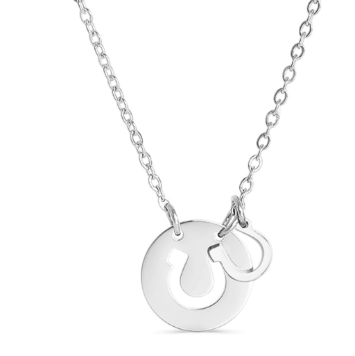 Silver horseshoe necklace with a horseshoe pendant 