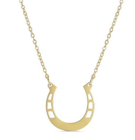 Stainless Steel Horseshoe Necklace