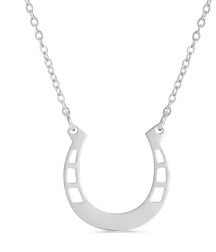 Stainless Steel Horseshoe Necklace